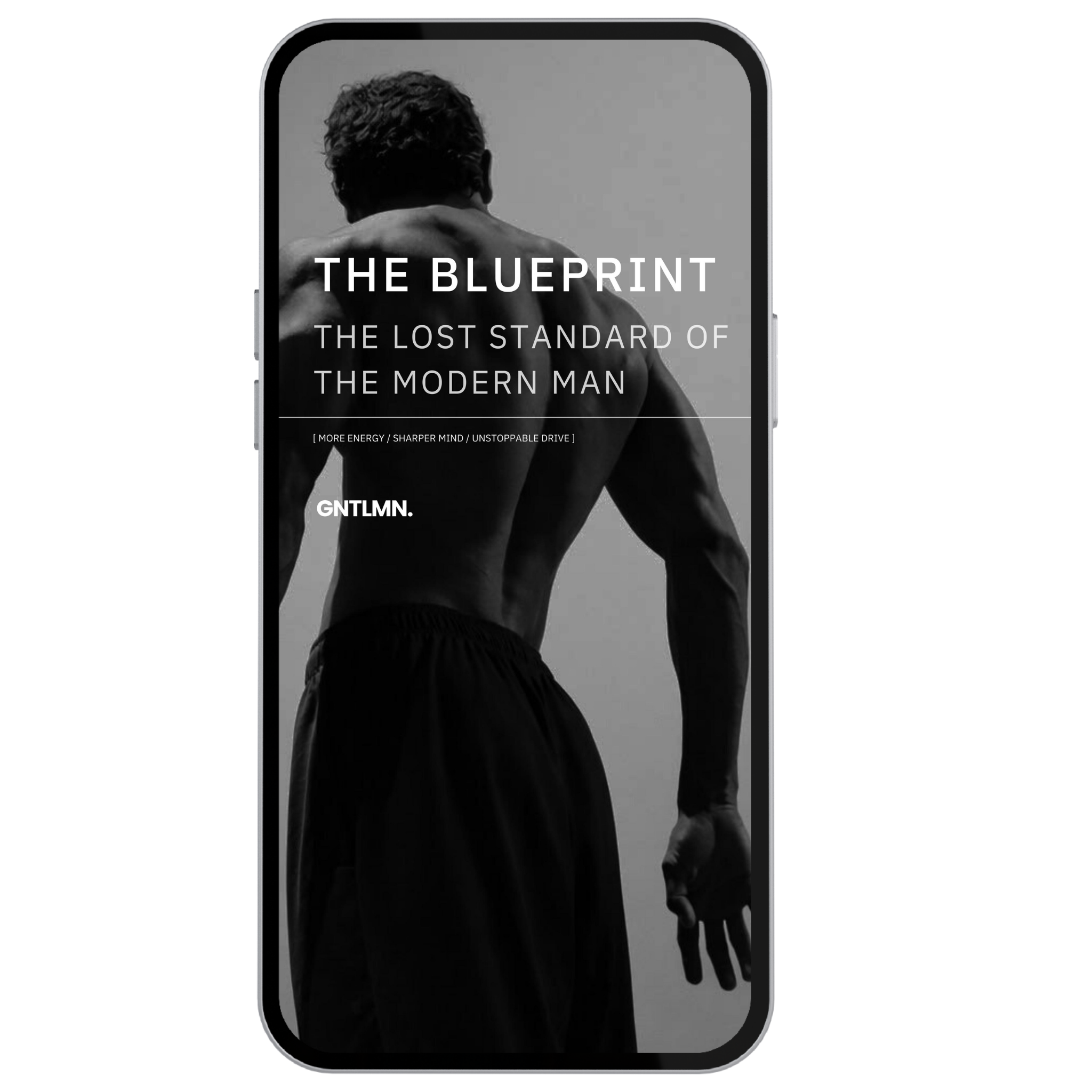 The Men's Optimization Blueprint