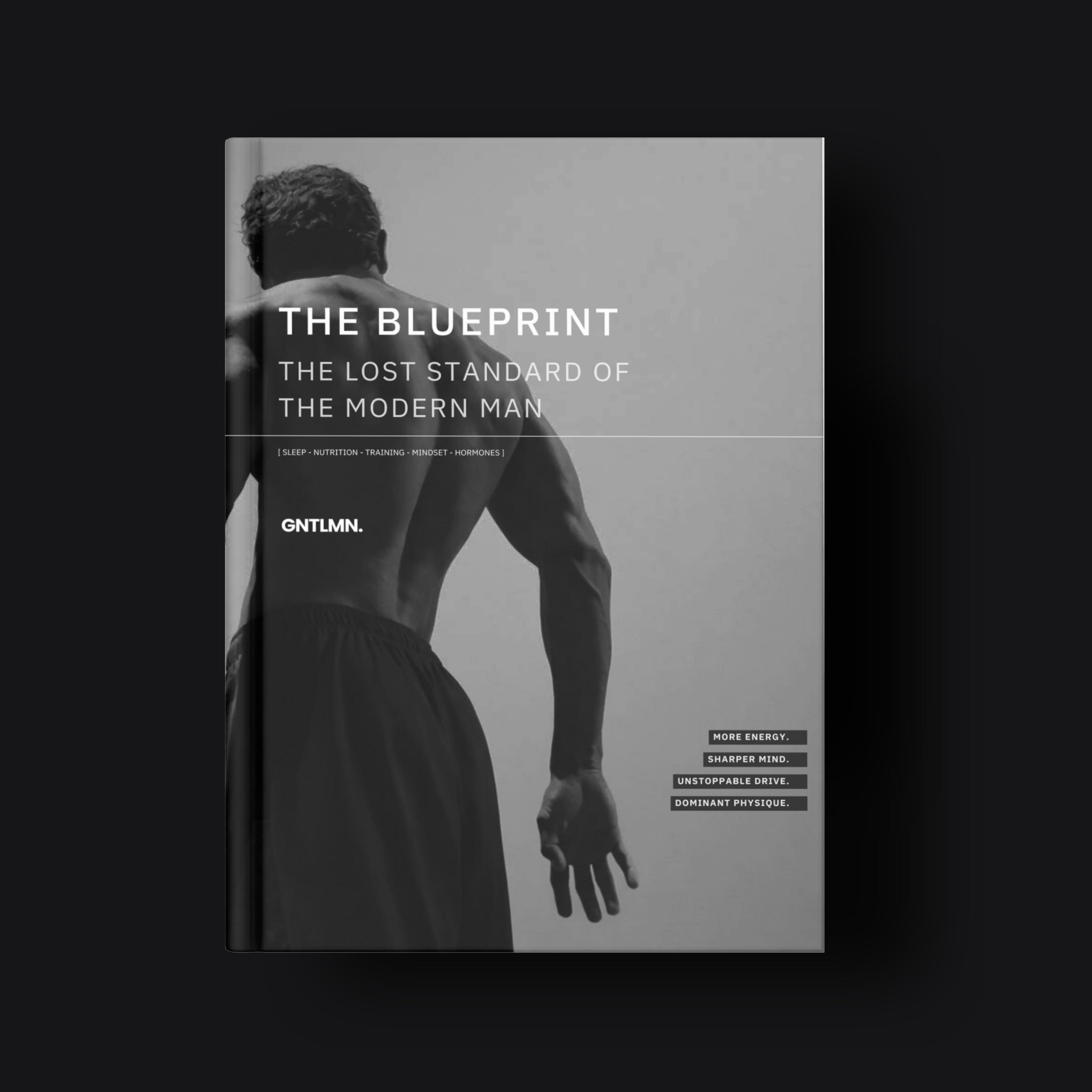 The Men's Optimization Blueprint