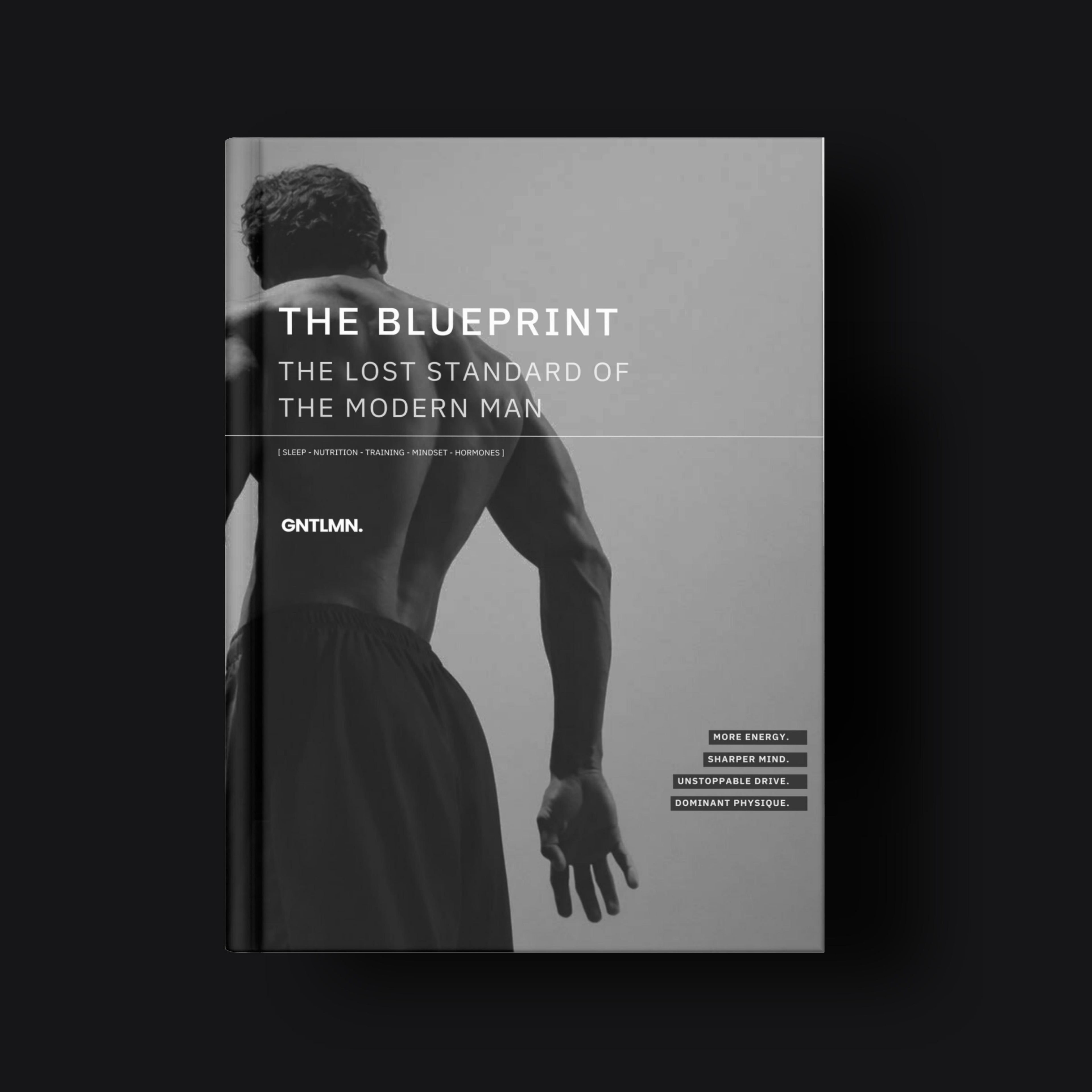 The Men's Optimization Blueprint